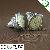 Warm White Smd Led Spot Light Bulb Lamp
