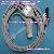 Oem Phililps Hp Ecg / Ekg Cable 12pin To 3 Leads Snap End