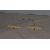 Cheese Cutter Wire