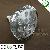 12w Par38 Led Spot Light