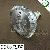 5w Led Spot