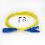 Sm Simplex E-2000 Patch Cord
