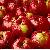 We Sell Phlorizin For Export