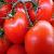 Lycopene-huir