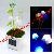 Solar Led Mushroom Light