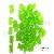Bear Shape Gummies / Gelatin Candy